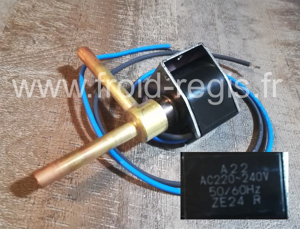 HOS-B14-15 Electrovanne gaz chaud 220-240V/50-60Hz pour IM100-130-240_CNE-NE code P04242-01 Merci d'indiquer le modèle et le numéro de série de votre machine ils sont indispensables