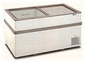 igloo-plus89j